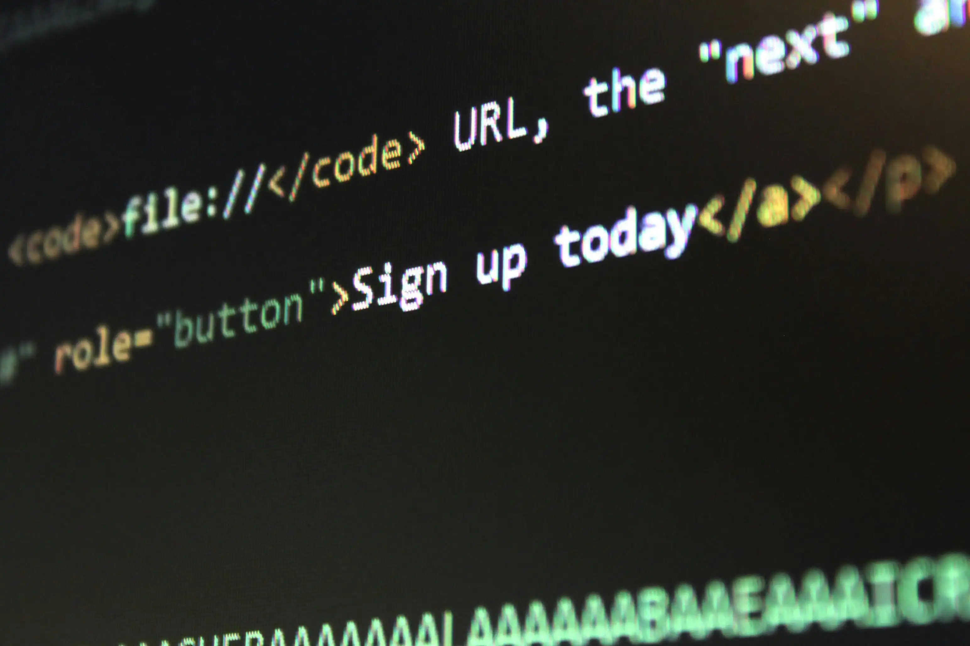 website section